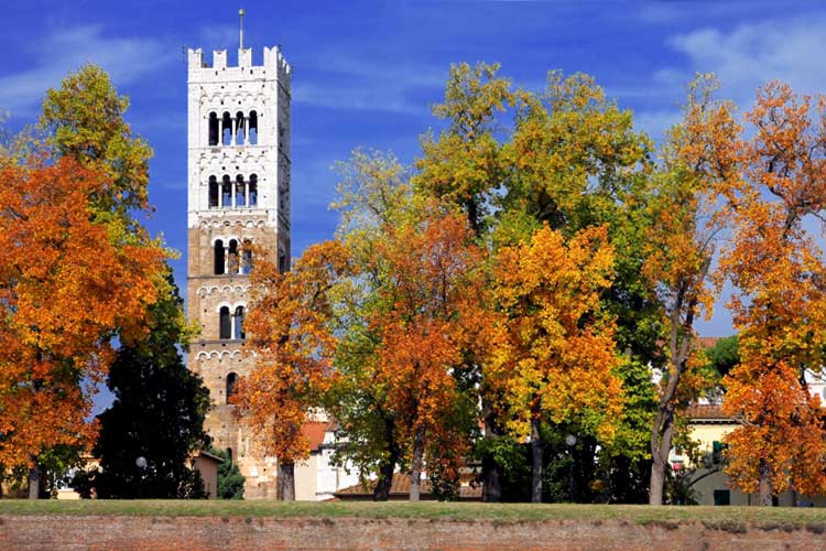 Lucca: Torre Guinigi, colori d'autunno