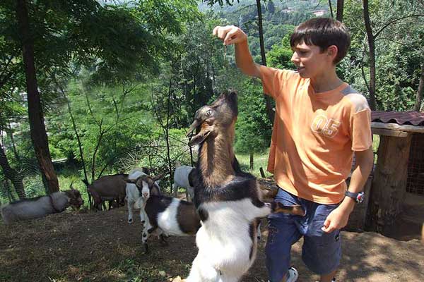 Vacanze adate ai bambini: conoscere e amare gli animali da fattoria