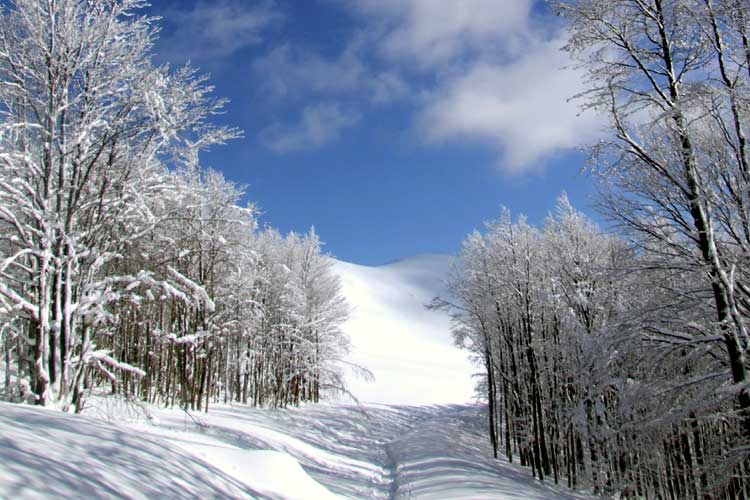 Appennino Tosco-Emiliano, confine tra Toscana ed Emilia Romanagna