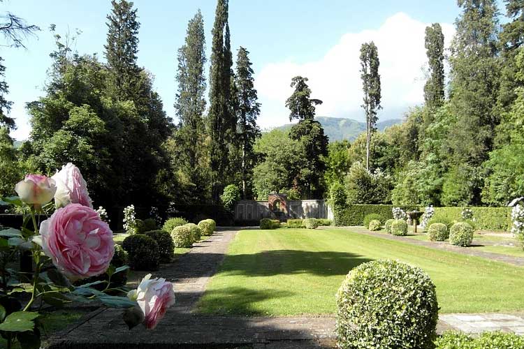 Ville Lucchesi, in collina e Piana di Lucca. Accoglienza turistica, prodotti tipici