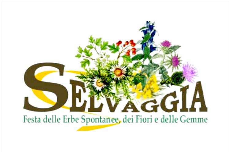 Festa delle erbe spontanee in Garfagnana, Velle del Serchio - Lucca